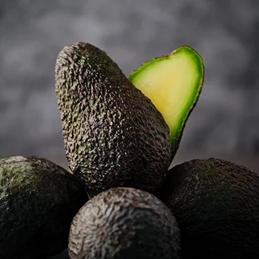 Palta